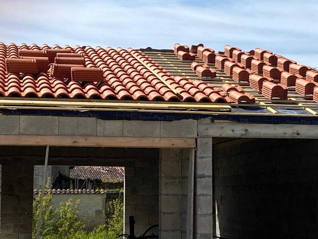 Accueil-Louis-Renovation - (1)